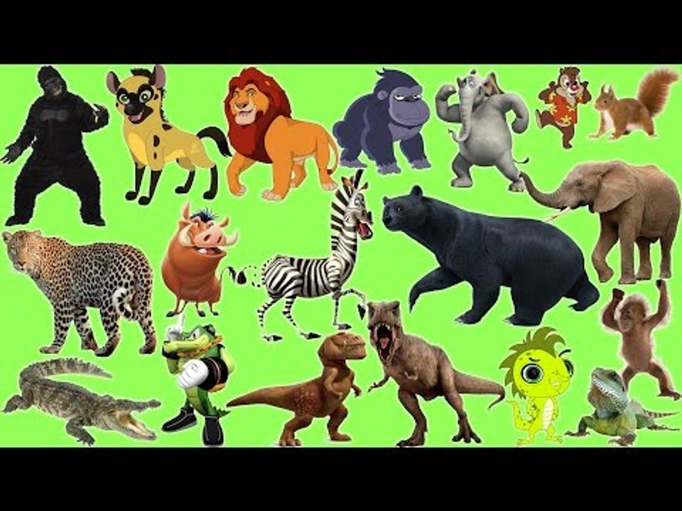 Learn Alphabet with Cartoon & Real Animals for Kids | ABC Animals Names ...