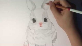 How to Draw a Rabbit: Snowball cartoon, Step-by-Step