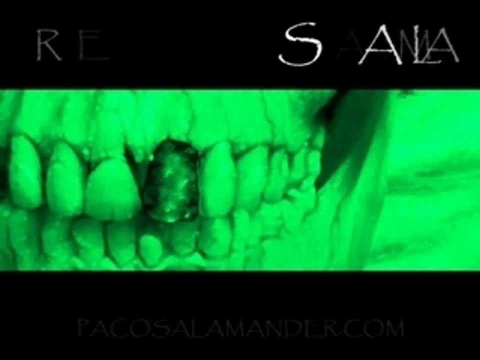 Salamander-v1