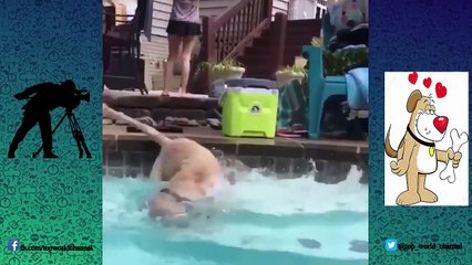 Try not to laugh - Best SEXY GIRL Fails of 2017 - Funny Fail Compilation #8-Uzv8HxbiPSs