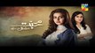 Mohabbat Mushkil Hai Episode 17 HUM TV Drama