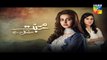 Mohabbat Mushkil Hai Episode 18 HUM TV Drama