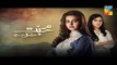 Mohabbat Mushkil Hai Episode 20 HUM TV Drama