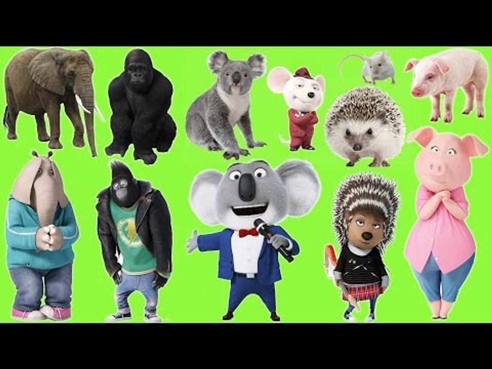 SING Cartoon Characters and Real Animals for Kids | Fun Toddler Learn Animal