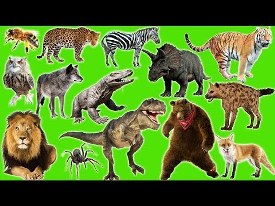 Learn Animals Names and Sounds | 4D Animals for Kids | Fun Toddler Learn Animal