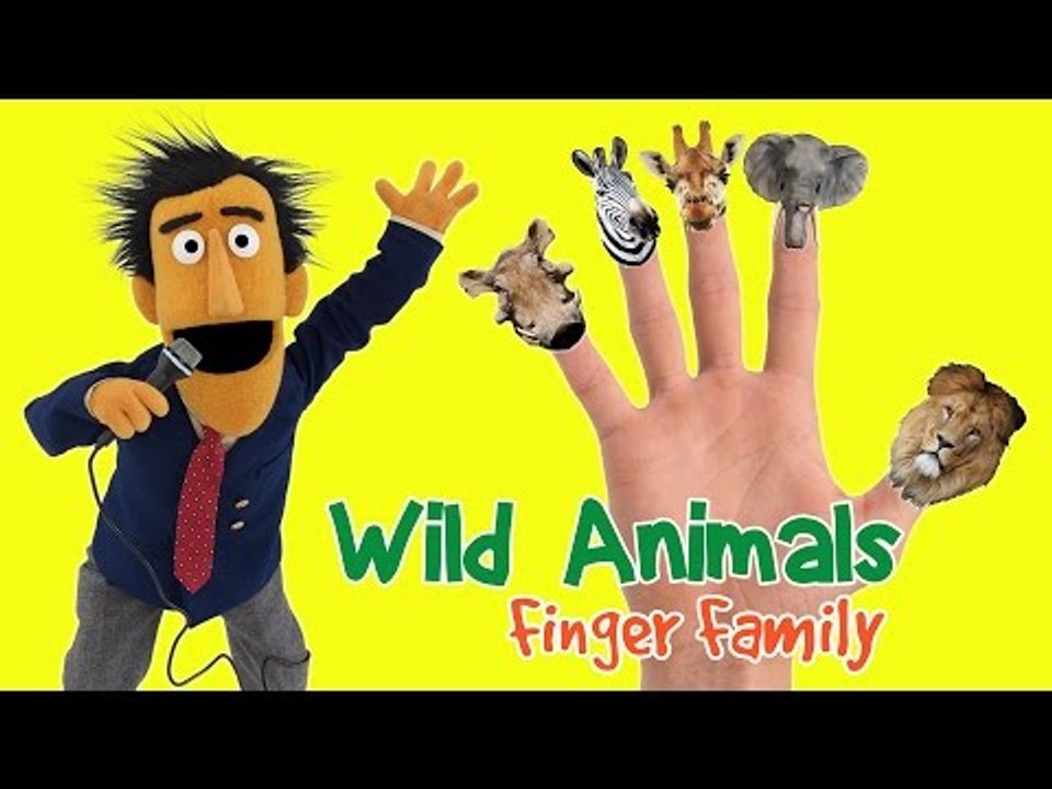 Wild Animals Finger Family | Nursery Rhymes Song for Kids | Fun Toddler  Learn Animal - Video Dailymotion