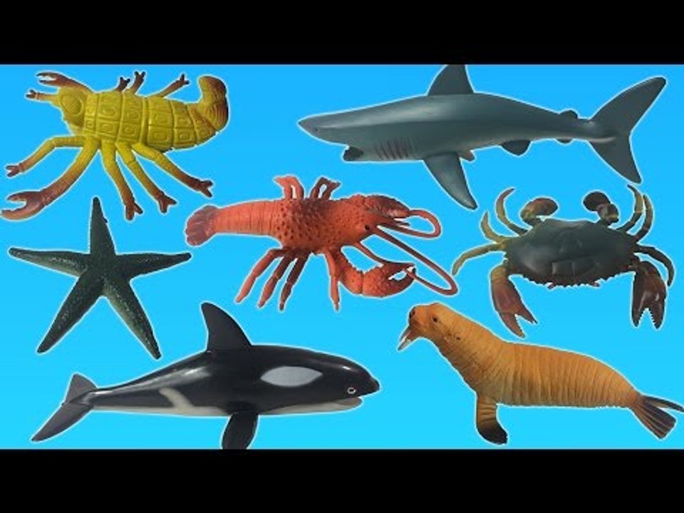 Learn Sea Animals Names with Toys | Sea Animals for Children | Fun Toddler Learn Animal
