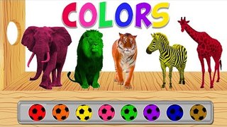 Learn Wild Animals with Colors Soccer Balls | Wild Animals Names and Sounds | Fun Toddler Learning