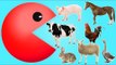 Learn Colors Farm Animals with Pacman | Colors for Children to Learn with Farm Animals!