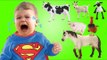 Crying Babies with Tantrum for Farm Animals | Kids Learn Farm Animals with Nursery Rhymes Farmess