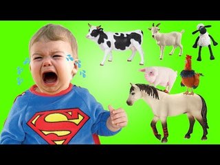 Crying Babies with Tantrum for Farm Animals | Kids Learn Farm Animals with Nursery Rhymes Farmess