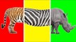 Wrong Heads Body with Wild Animals Funny Video for Kids - Learn Wild Animals