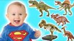 Bad Baby with Tantrum and Crying for Dinosaurs! Surprise Dinosaurs Real Life for Kids Adventure