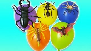 NEW Finger Family Song with Insects Wet Balloons - Learn Colors Nursery Rhymes songs for children