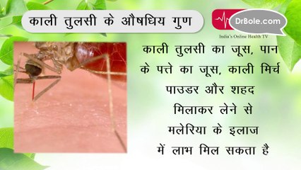 काली तुलसी के औषधिय गुण