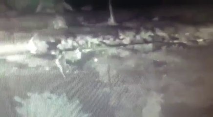CCTV footage shows killing of pastor outside church in Ludhiana