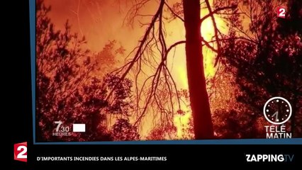 Alpes-Maritimes et Corse : D’importants incendies ravagent plusieurs hectares (vidéo)