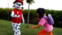 Dora la Exploradora,PEPPA PIG,Minnie y Marshall de la Patrulla Canina juegan al Escondite