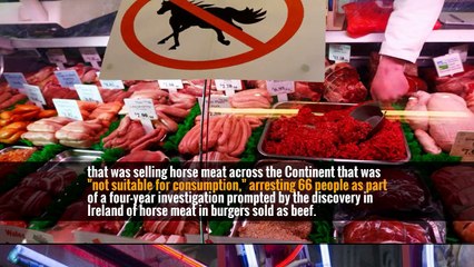 Police in Europe Break Up Network Selling Illegal Horse Meat