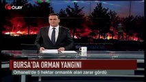 Bursa'da orman yangını (Haber 17 07 2017)