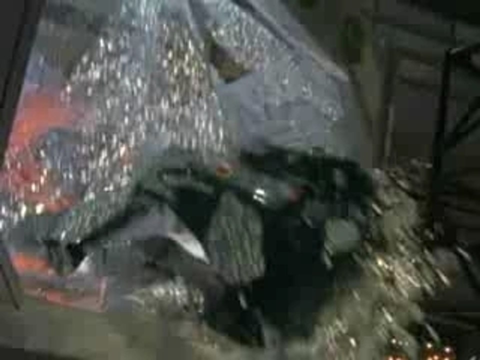 P.U.N.K.S. (1999)