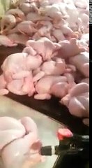 tavuklara şu enjekte ediyorlar ne tavuk ne et yemeyin hepsi haraem mundar les hukmündedir