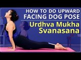 How to do UPWARD FACING DOG POSE | LEARN URDHVA MUKHA SVANASANA In 2 Minutes | Simple Yoga Lessons