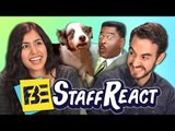 Try to Watch This Without Laughing or Grinning #2 (FBE STAFF REACTS #3)