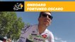 Fortuneo-Oscaro GoPro Highlights - Tour de France 2017