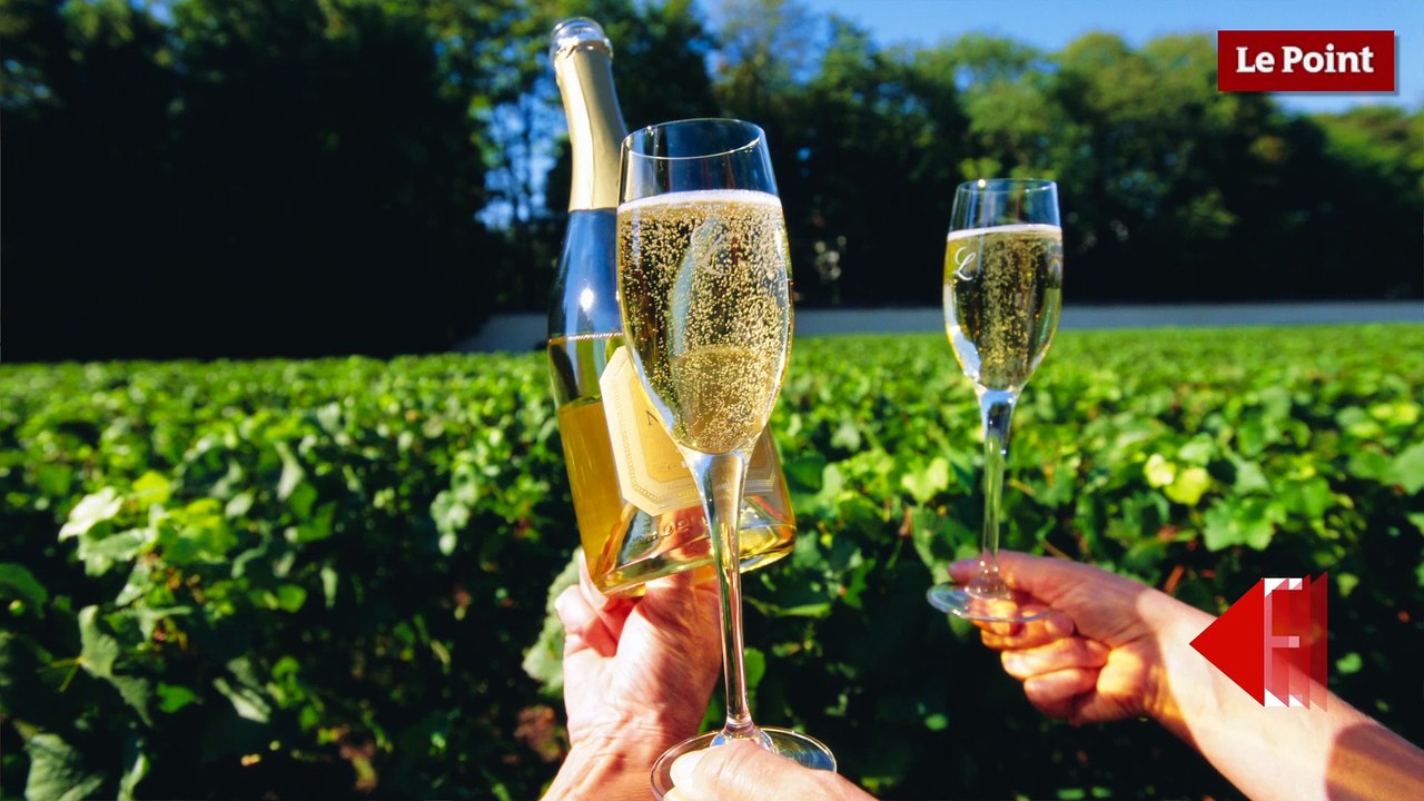 20 questions sur le vin : comment élabore-t-on du champagne ?