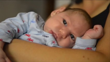 هذا الصباح -تسخير فيروس زيكا لعلاج أورام سرطانية