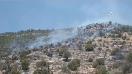 Silifke'de Bahçe Yangını