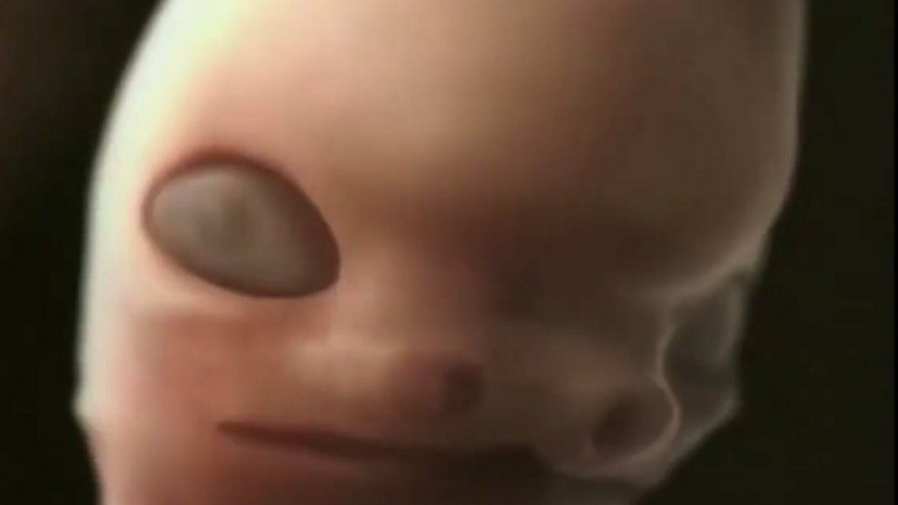 Humano