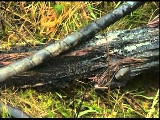 EKSTREMISTET E MAJTE MARRIN PERSIPER BOMBAT ME BENZINE NE BERLIN LAJM