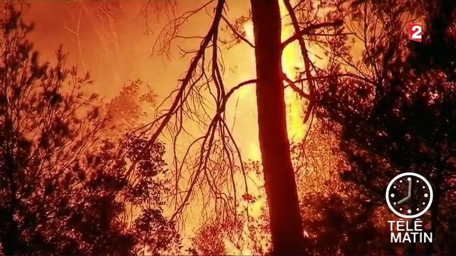 Alpes-Maritimes : les soldats du feu ont lutté toute la nuit à Castagniers