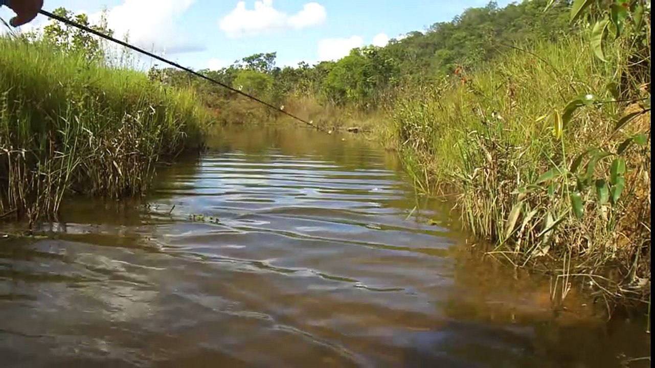 Derede Balık Avı 2
