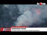 Kebakaran Hutan Meluas, 10 Ribu Warga Mengungsi