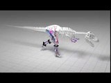 Forget Jurassic Park Chases, Research Says T Rex Could Not Run