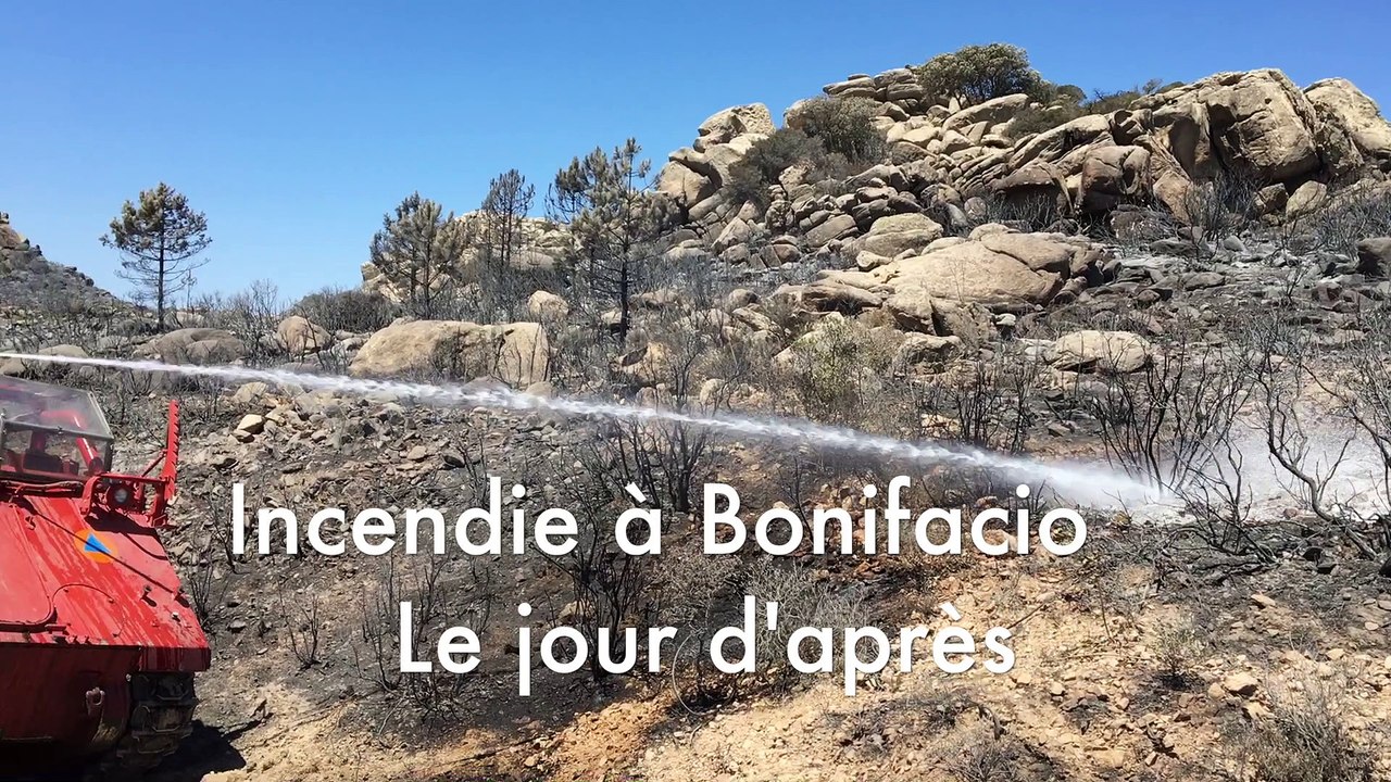 Feu à Bonifacio : le jour d'après