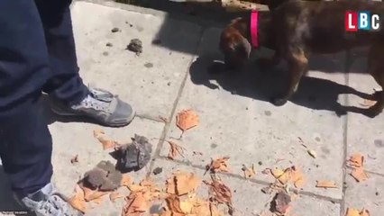 Ashes From Grenfell Blow On To The Streets Of Kensington