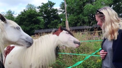 THIS MIGHT HAVE MADE IT WORSE!