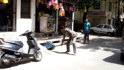 Amazing transformation of rescued street dog dying from mange