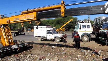 Crane operator comes to bull's rescue