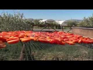 Ora News - Lezhë, fermerët i blejnë produktet jashtë dhe i shesin si të tyret