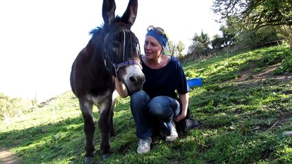 Help make Bonnie's last wish for donkeys come true
