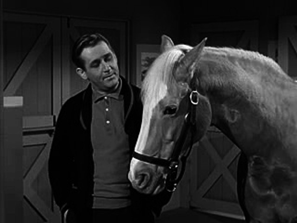 Mister Ed S3E20 - Working Wives
