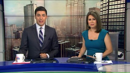 Dog Tossed Out of Minivan During Road Rage Incident in New Jersey