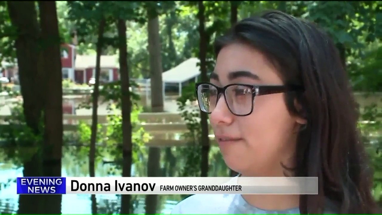 Farm Underwater After Family Cancels Flood Insurance to Pay Medical Bills