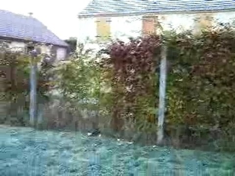 Gelée blanche+Nuit Blanche