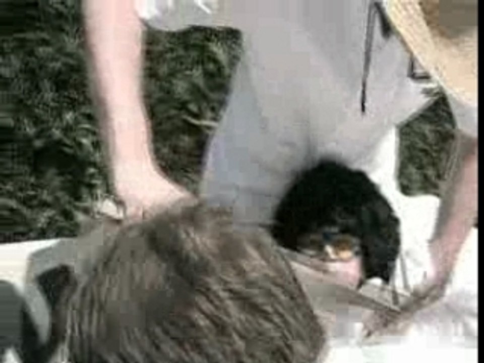 06. le groupe rock and roll